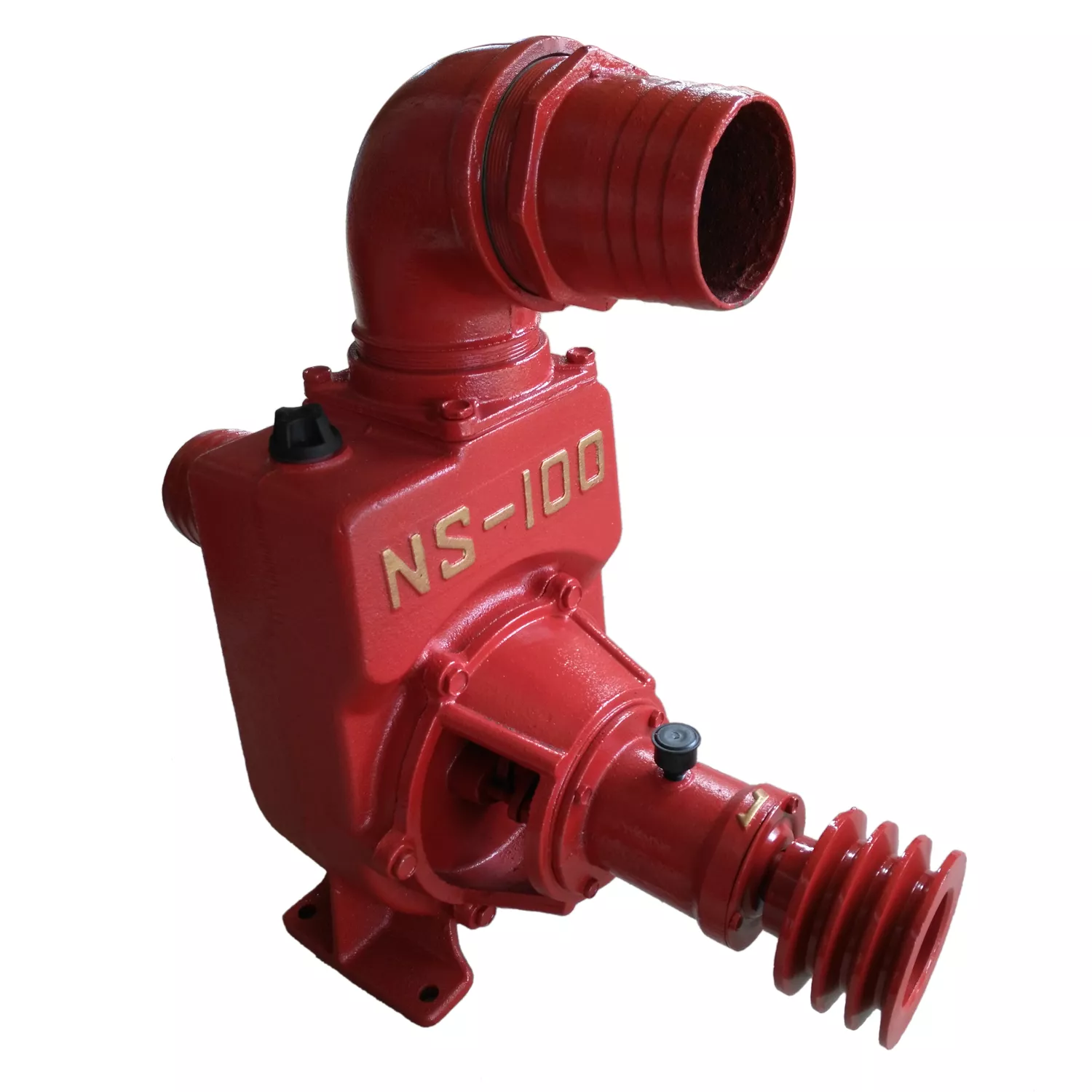 NS-100
